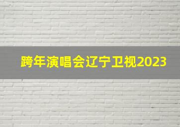 跨年演唱会辽宁卫视2023