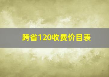 跨省120收费价目表