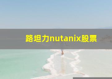 路坦力nutanix股票