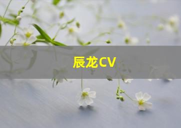 辰龙CV