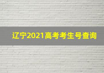 辽宁2021高考考生号查询