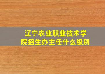 辽宁农业职业技术学院招生办主任什么级别