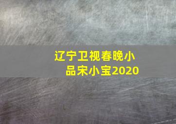 辽宁卫视春晚小品宋小宝2020