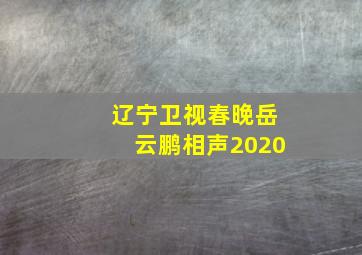 辽宁卫视春晚岳云鹏相声2020