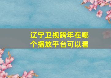 辽宁卫视跨年在哪个播放平台可以看