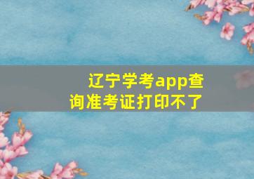 辽宁学考app查询准考证打印不了