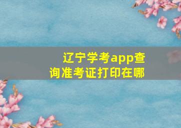 辽宁学考app查询准考证打印在哪