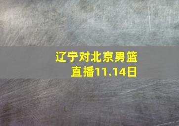 辽宁对北京男篮直播11.14日