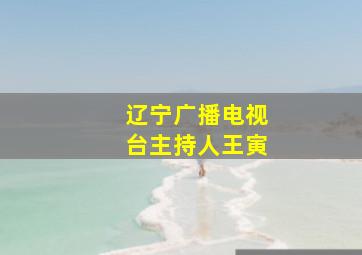 辽宁广播电视台主持人王寅