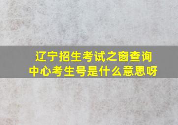 辽宁招生考试之窗查询中心考生号是什么意思呀