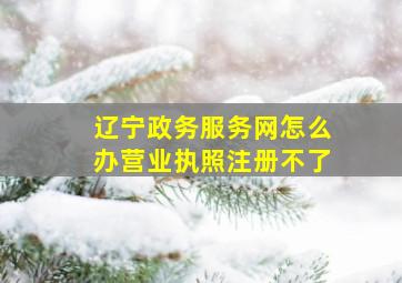 辽宁政务服务网怎么办营业执照注册不了