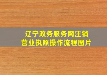 辽宁政务服务网注销营业执照操作流程图片