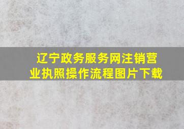 辽宁政务服务网注销营业执照操作流程图片下载