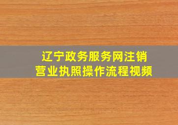 辽宁政务服务网注销营业执照操作流程视频