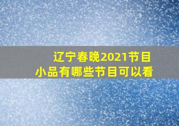 辽宁春晚2021节目小品有哪些节目可以看