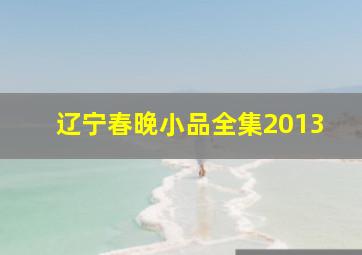 辽宁春晚小品全集2013