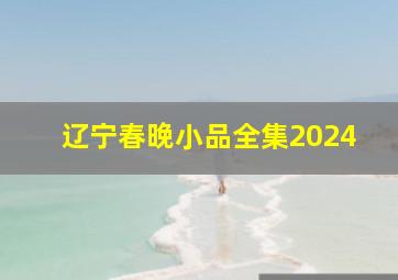 辽宁春晚小品全集2024