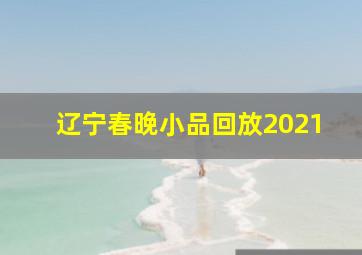 辽宁春晚小品回放2021