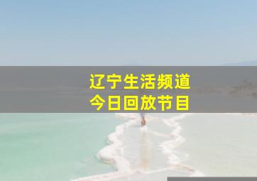 辽宁生活频道今日回放节目