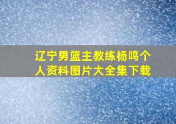 辽宁男篮主教练杨鸣个人资料图片大全集下载