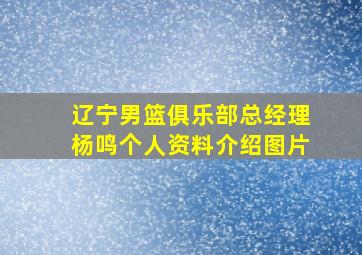 辽宁男篮俱乐部总经理杨鸣个人资料介绍图片