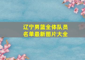 辽宁男篮全体队员名单最新图片大全