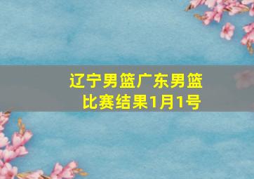 辽宁男篮广东男篮比赛结果1月1号