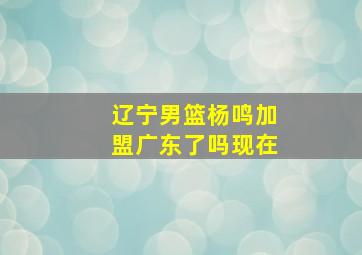 辽宁男篮杨鸣加盟广东了吗现在