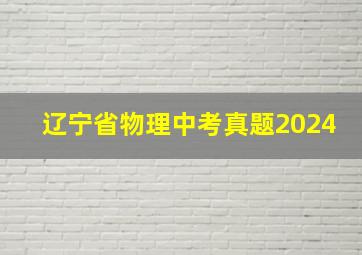 辽宁省物理中考真题2024