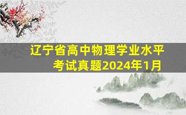 辽宁省高中物理学业水平考试真题2024年1月