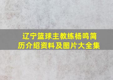 辽宁篮球主教练杨鸣简历介绍资料及图片大全集