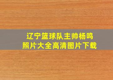 辽宁篮球队主帅杨鸣照片大全高清图片下载