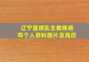 辽宁篮球队主教练杨鸣个人资料图片及简历