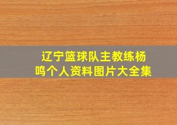 辽宁篮球队主教练杨鸣个人资料图片大全集