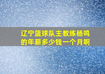 辽宁篮球队主教练杨鸣的年薪多少钱一个月啊