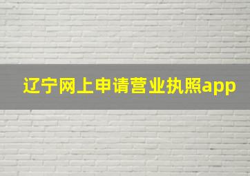 辽宁网上申请营业执照app