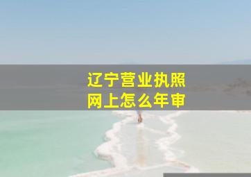 辽宁营业执照网上怎么年审