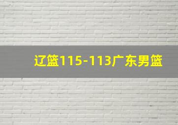 辽篮115-113广东男篮