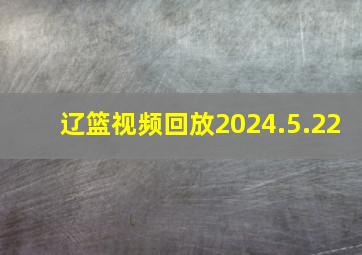 辽篮视频回放2024.5.22