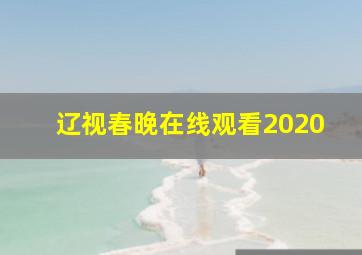 辽视春晚在线观看2020