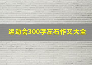 运动会300字左右作文大全