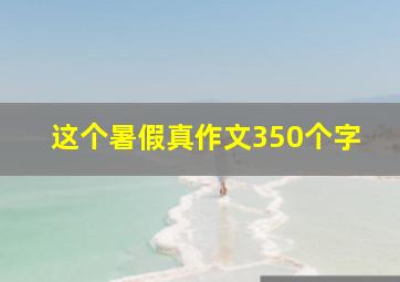 这个暑假真作文350个字