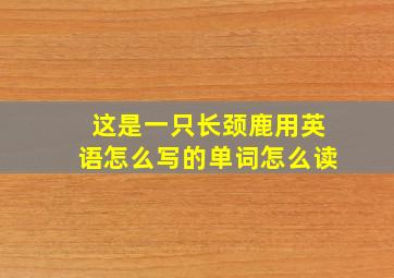 这是一只长颈鹿用英语怎么写的单词怎么读