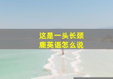 这是一头长颈鹿英语怎么说