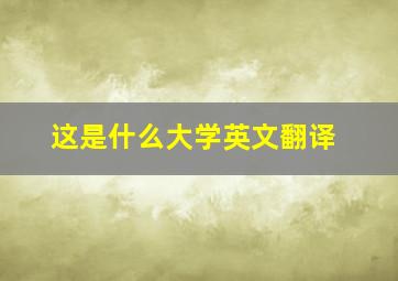 这是什么大学英文翻译