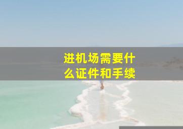 进机场需要什么证件和手续