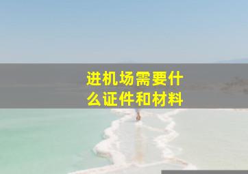 进机场需要什么证件和材料