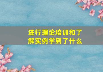 进行理论培训和了解实例学到了什么