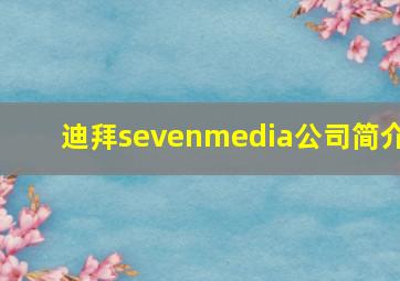 迪拜sevenmedia公司简介