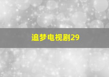 追梦电视剧29